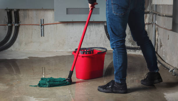 Best Basement water damage restoration  in Chase City, VA