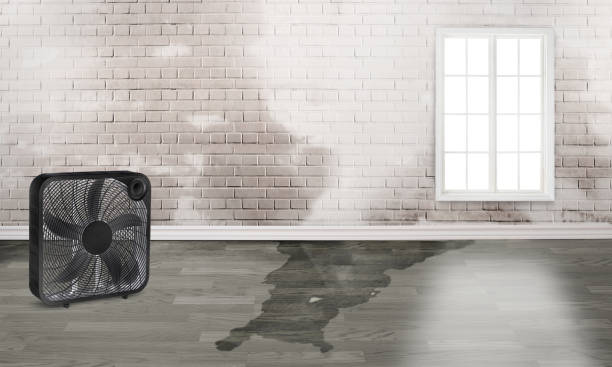 Trusted Chase City, VA Water damage restoration Experts