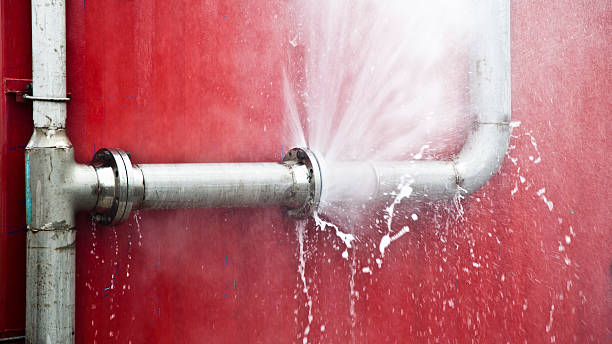 Best Flood restoration services  in Chase City, VA