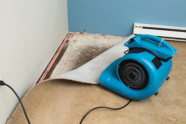 Best Water damage restoration near me  in Chase City, VA